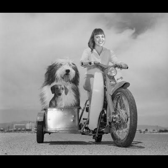 Meet Your Posher - Picture 1 of 4